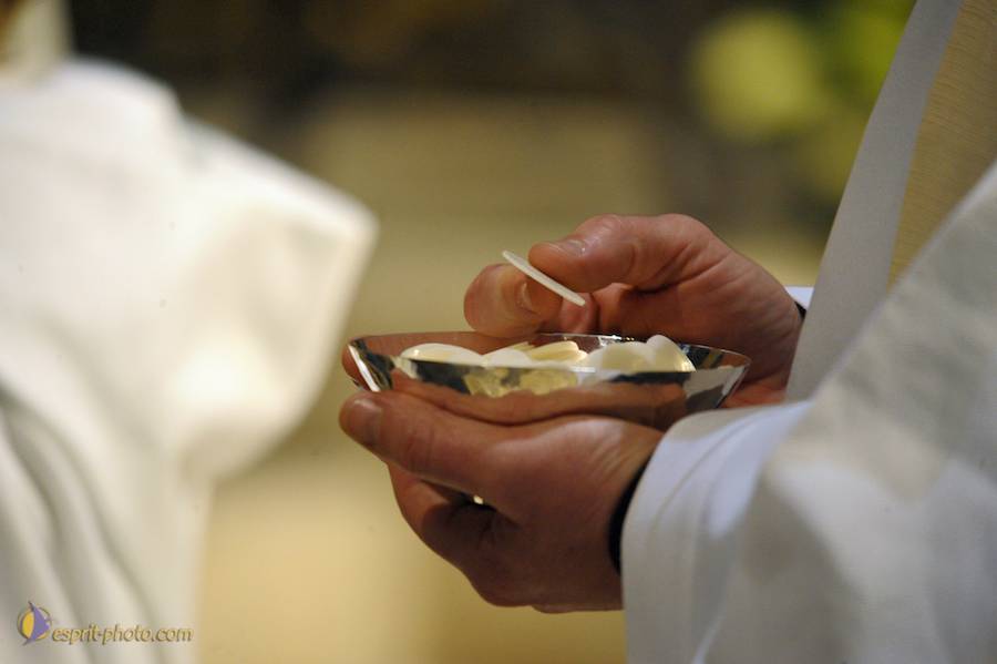 Nom de l'image : D30050432_1_(c)Norbert-JUNG — Description :